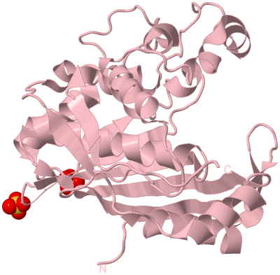 Image Biological Unit 3