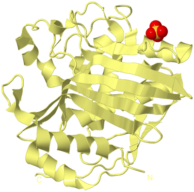 Image Biological Unit 4