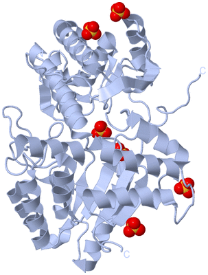 Image Biological Unit 1