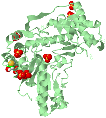 Image Biological Unit 2