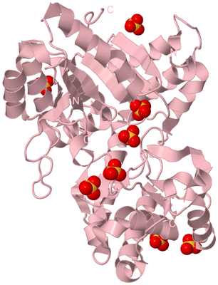 Image Biological Unit 3