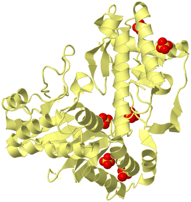 Image Biological Unit 4