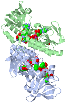 Image Asym./Biol. Unit