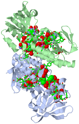 Image Asym./Biol. Unit - sites