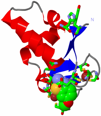 Image Asym./Biol. Unit - sites