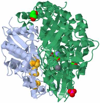 Image Biological Unit 1