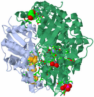 Image Biol. Unit 1 - sites