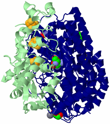 Image Biological Unit 2