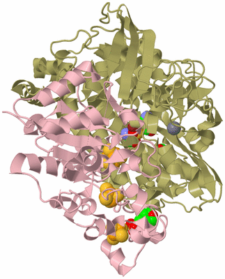 Image Biological Unit 3