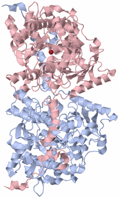 Image Asym./Biol. Unit