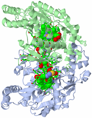 Image Asym./Biol. Unit - sites