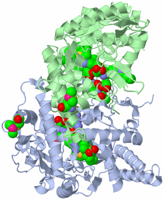 Image Asym./Biol. Unit