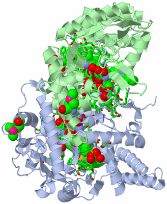 Image Asym./Biol. Unit - sites