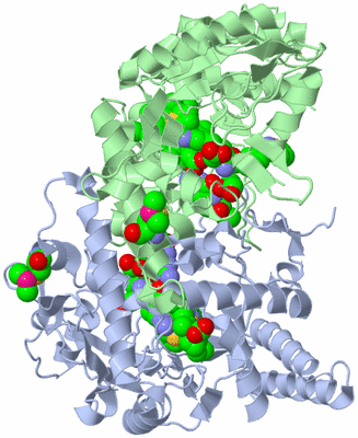 Image Asym./Biol. Unit