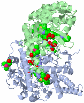 Image Asym./Biol. Unit