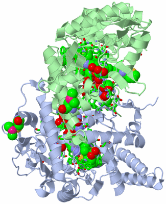 Image Asym./Biol. Unit - sites