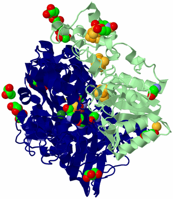 Image Biological Unit 1