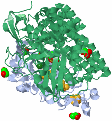 Image Biological Unit 2