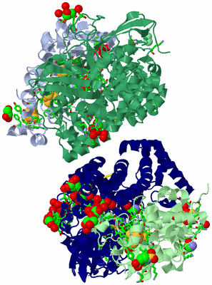 Image Asym. Unit - sites