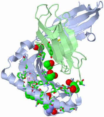 Image Biol. Unit 1 - sites