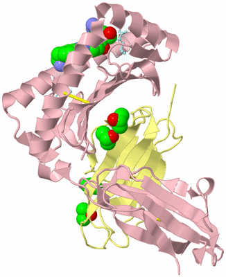 Image Biological Unit 2