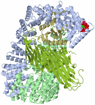 Image Asym./Biol. Unit