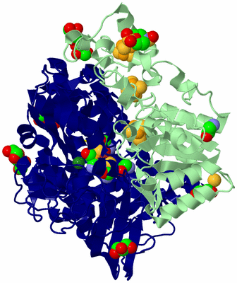 Image Biological Unit 1