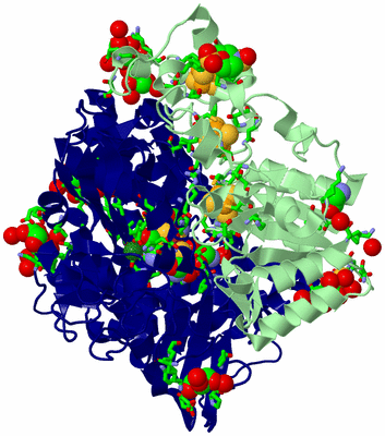 Image Biol. Unit 1 - sites