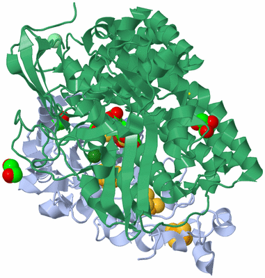 Image Biological Unit 2