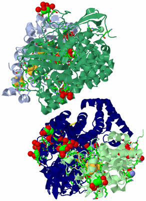 Image Asym. Unit - sites