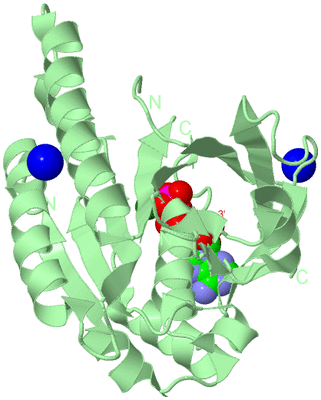 Image Biological Unit 2