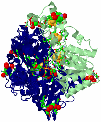 Image Biol. Unit 1 - sites