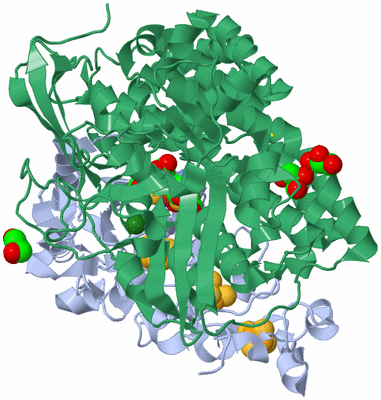 Image Biological Unit 2