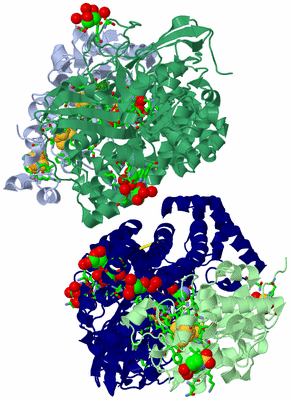 Image Asym. Unit - sites