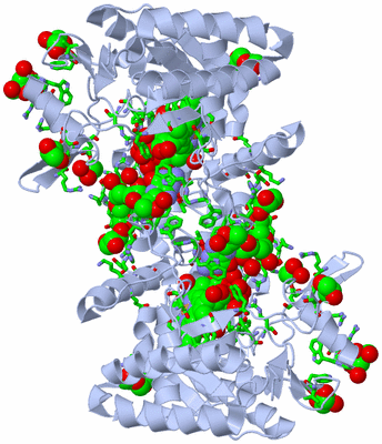 Image Biol. Unit 1 - sites