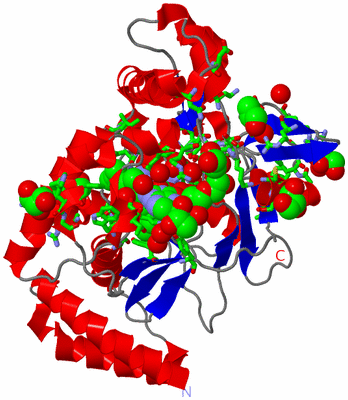 Image Asym. Unit - sites