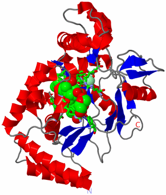 Image Asym. Unit - sites