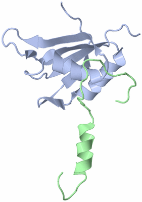 Image NMR Structure - model 1