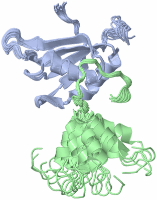 Image NMR Structure - all models