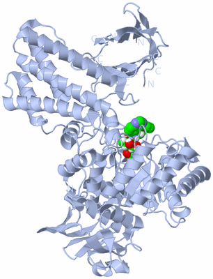 Image Biological Unit 1