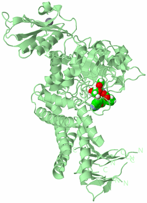 Image Biological Unit 2