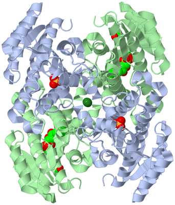 Image Biological Unit 1