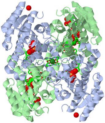 Image Biol. Unit 1 - sites