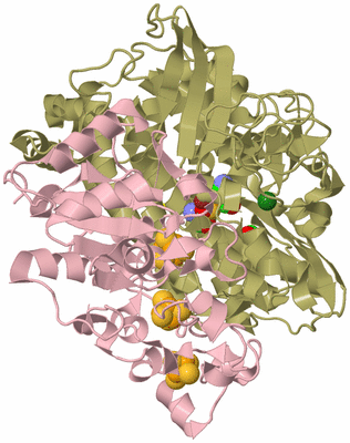 Image Biological Unit 1