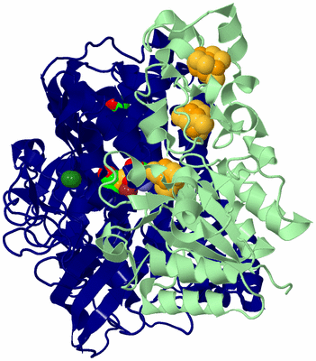 Image Biological Unit 3