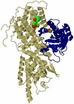 Image Asym./Biol. Unit