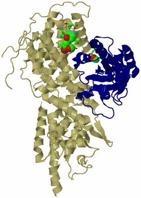 Image Asym./Biol. Unit - sites