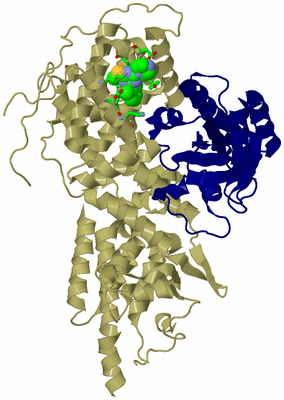 Image Asym./Biol. Unit - sites