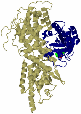 Image Asym./Biol. Unit