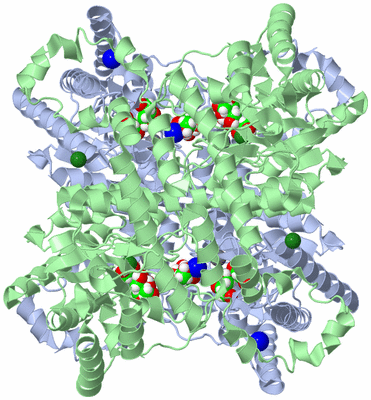 Image Biological Unit 1